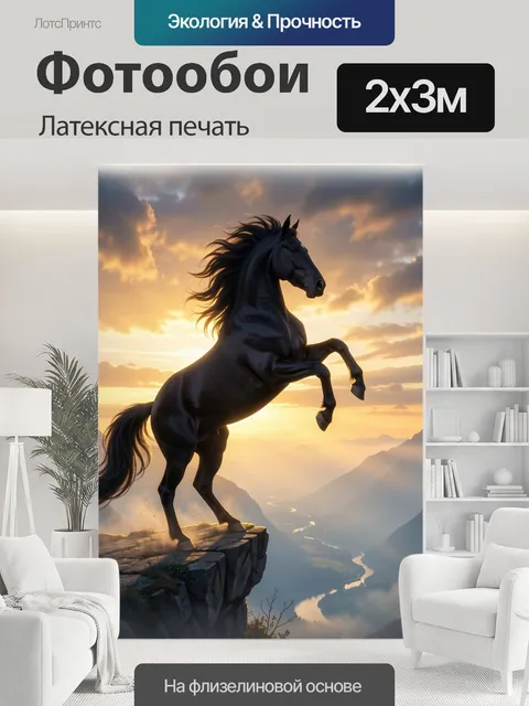 200 × 300 см · Латексная печать