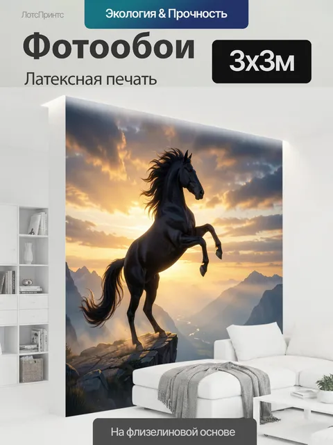 300 × 300 см · Латексная печать