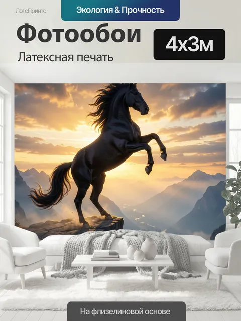 400 × 300 см · Латексная печать