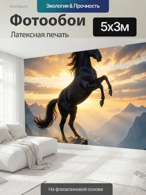 500 × 300 см · Латексная печать