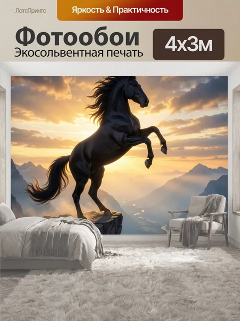 400 × 300 см · Экосольвентная печать