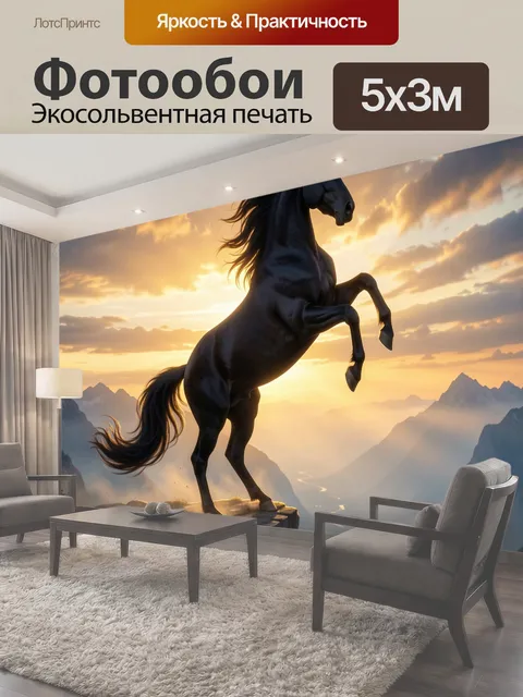 500 × 300 см · Экосольвентная печать