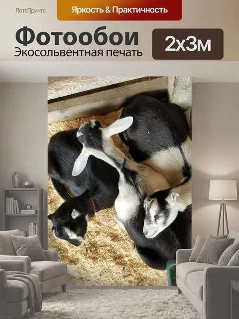 200 × 300 см · Экосольвентная печать