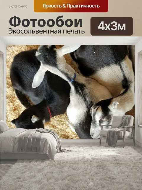 400 × 300 см · Экосольвентная печать