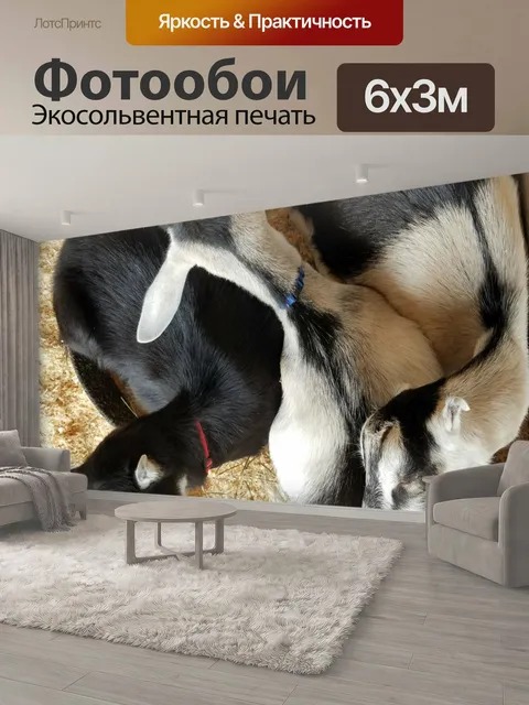 600 × 300 см · Экосольвентная печать
