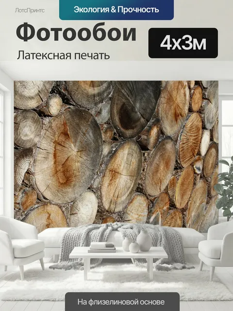 400 × 300 см · Латексная печать
