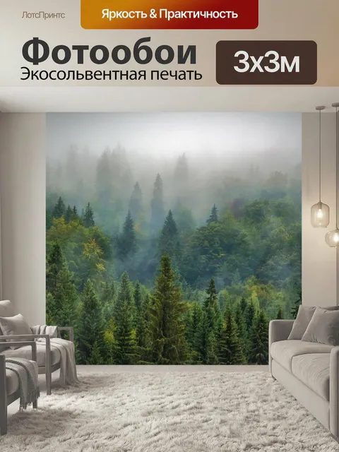 Фотообои Деревья, лес, туман