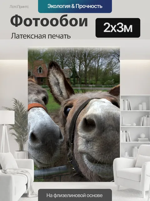 200 × 300 см · Латексная печать