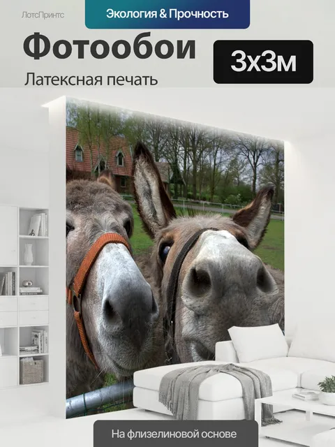 300 × 300 см · Латексная печать