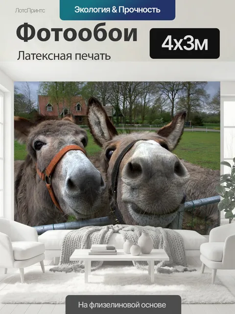 400 × 300 см · Латексная печать