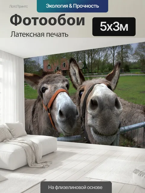 500 × 300 см · Латексная печать