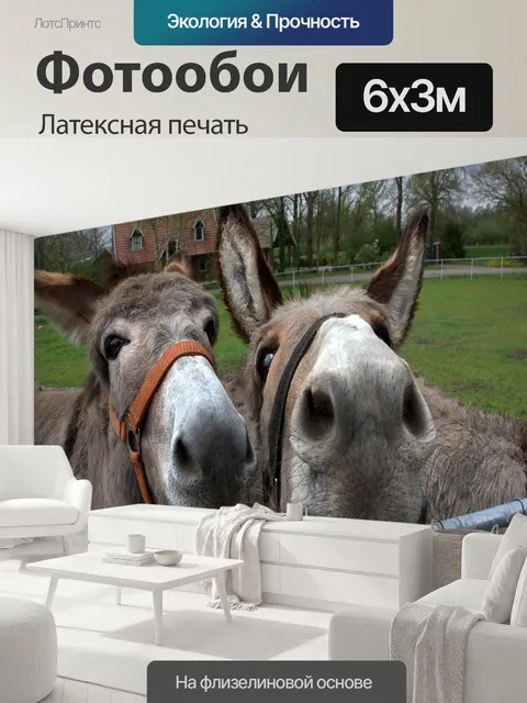 600 × 300 см · Латексная печать
