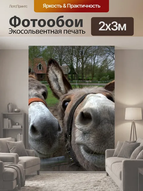 200 × 300 см · Экосольвентная печать