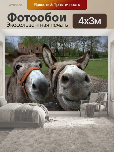 400 × 300 см · Экосольвентная печать