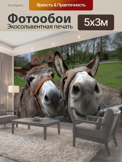 500 × 300 см · Экосольвентная печать