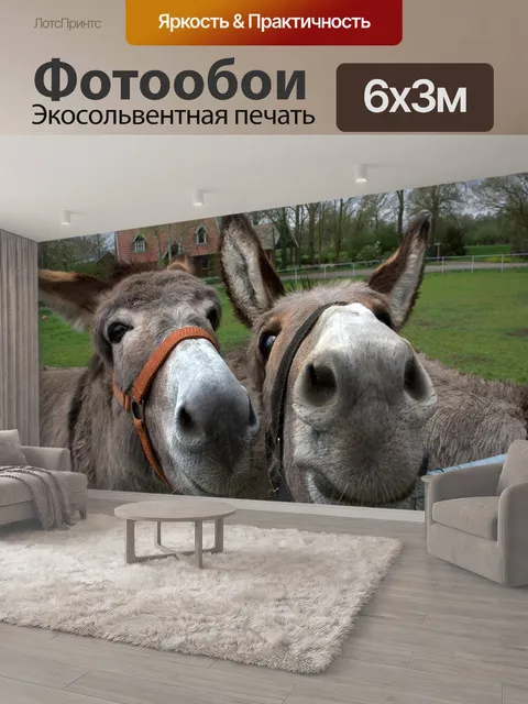 600 × 300 см · Экосольвентная печать