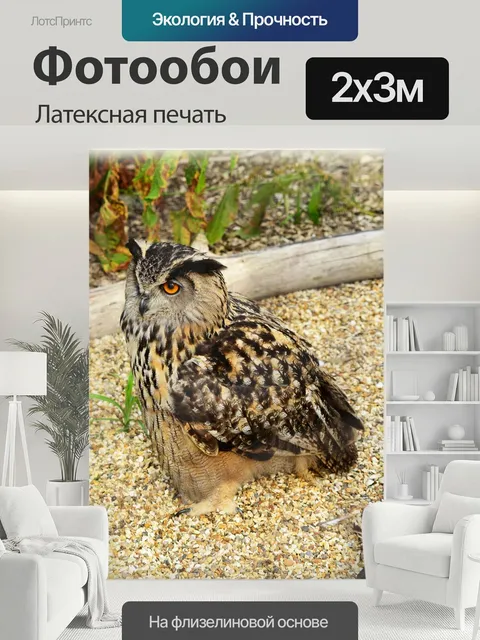 200 × 300 см · Латексная печать