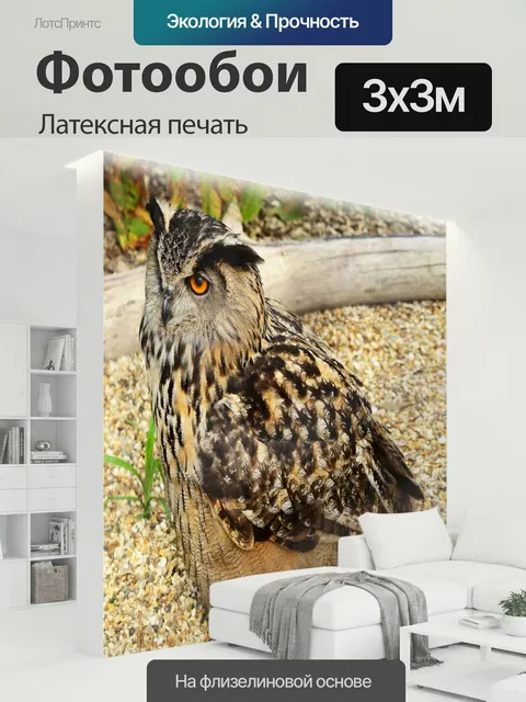 300 × 300 см · Латексная печать