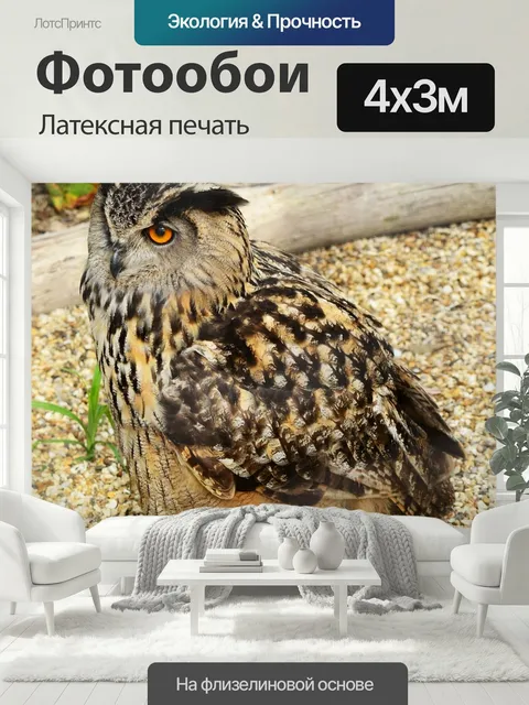 400 × 300 см · Латексная печать