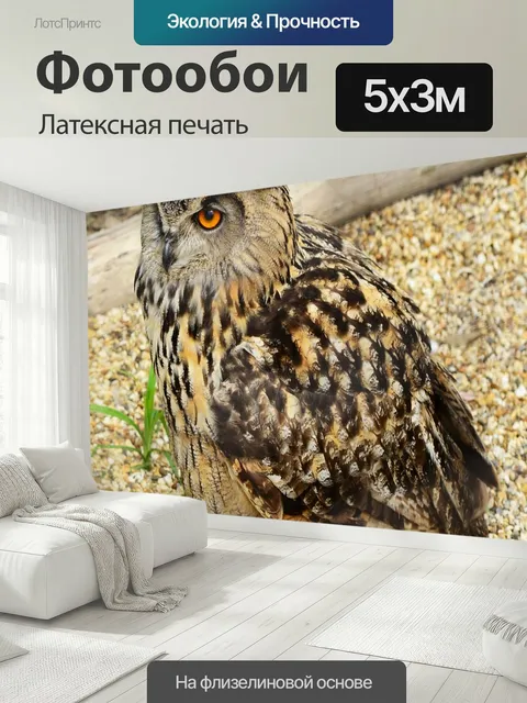 500 × 300 см · Латексная печать