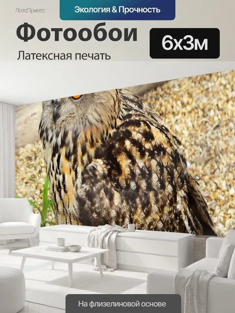 600 × 300 см · Латексная печать