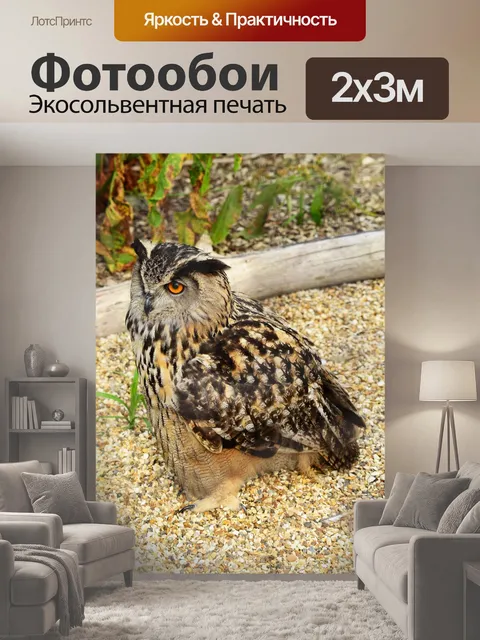 200 × 300 см · Экосольвентная печать
