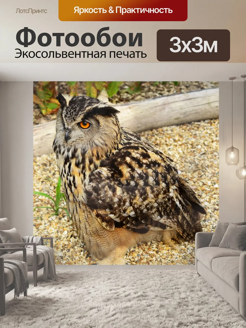 Фотообои Евразийский филин, птица, сова