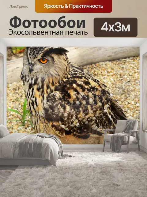 400 × 300 см · Экосольвентная печать