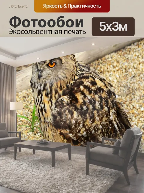 500 × 300 см · Экосольвентная печать