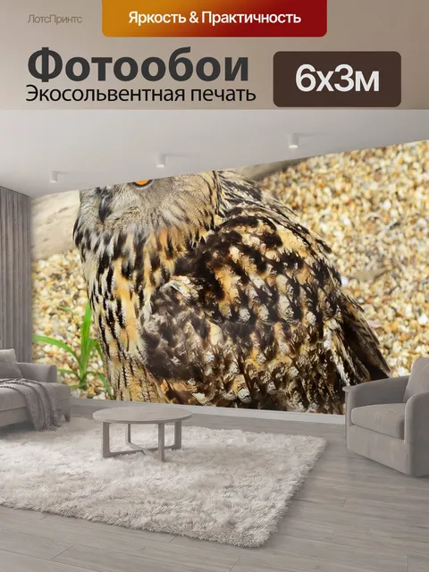600 × 300 см · Экосольвентная печать