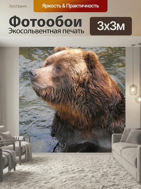 Фотообои Медведь, животные, зоопарк