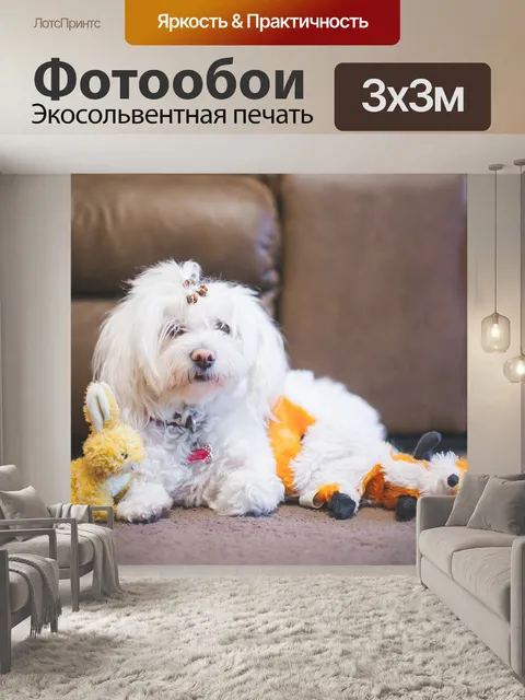 Фотообои Белый, щенок, собака
