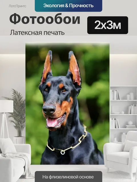 200 × 300 см · Латексная печать