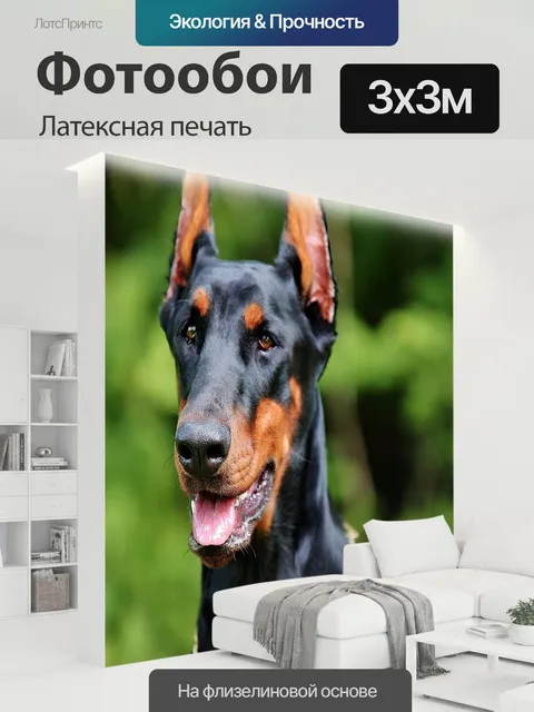 300 × 300 см · Латексная печать
