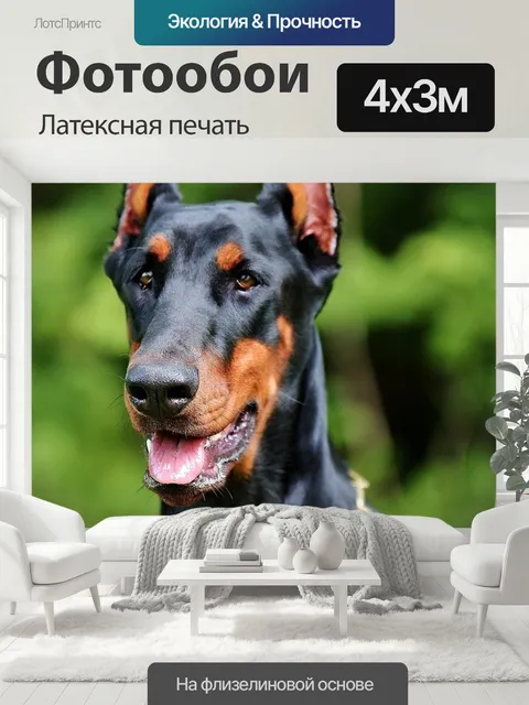 400 × 300 см · Латексная печать