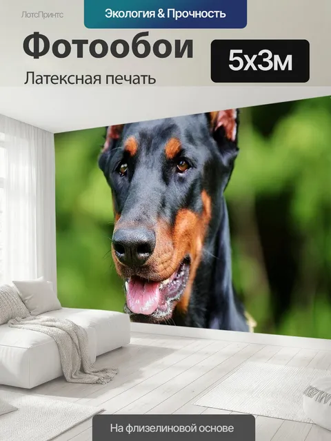 500 × 300 см · Латексная печать