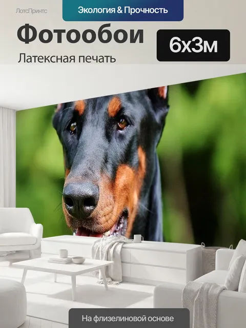 600 × 300 см · Латексная печать