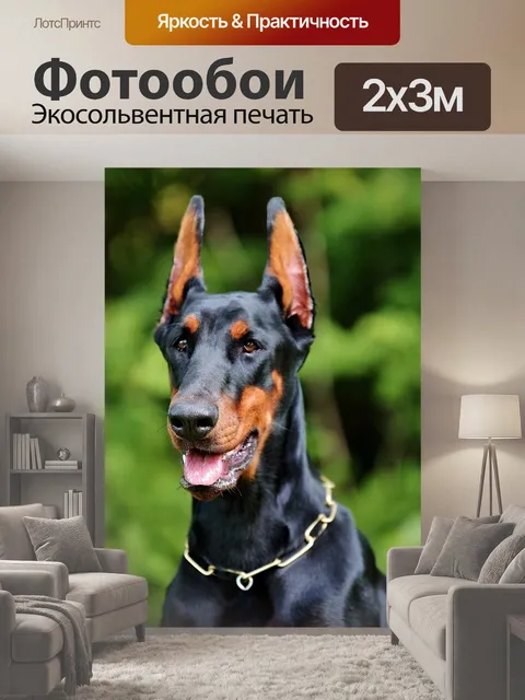 200 × 300 см · Экосольвентная печать