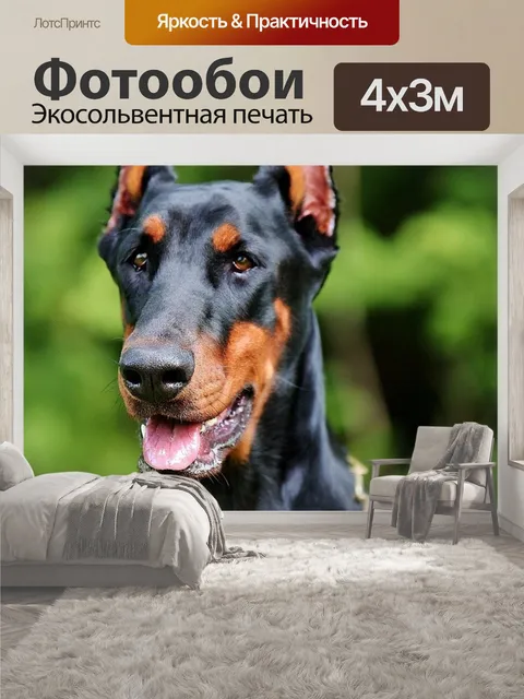 400 × 300 см · Экосольвентная печать