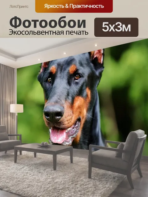 500 × 300 см · Экосольвентная печать