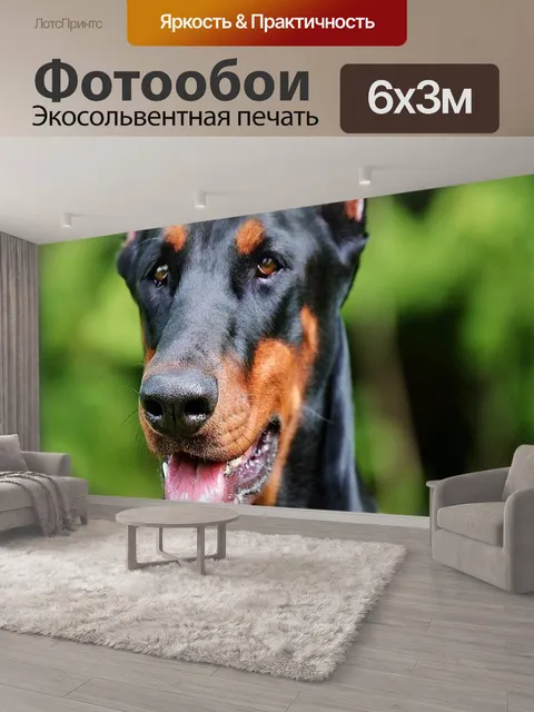 600 × 300 см · Экосольвентная печать