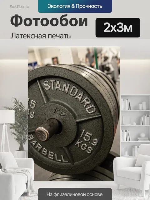 200 × 300 см · Латексная печать