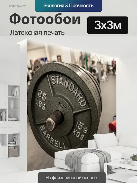 300 × 300 см · Латексная печать