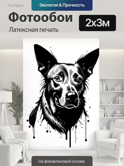 200 × 300 см · Латексная печать