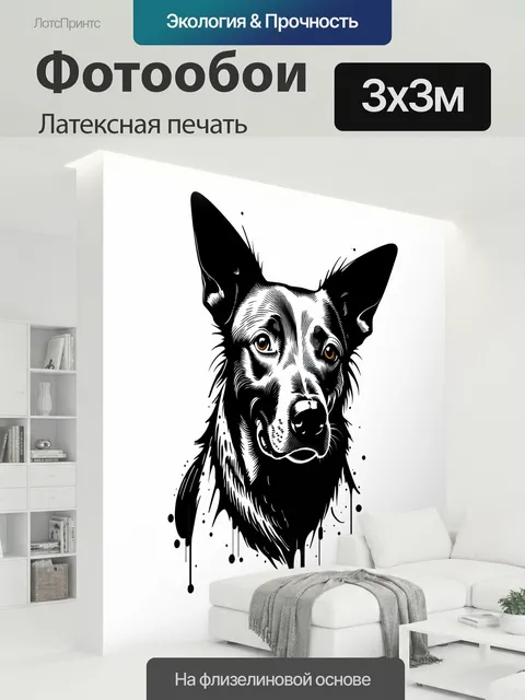 300 × 300 см · Латексная печать