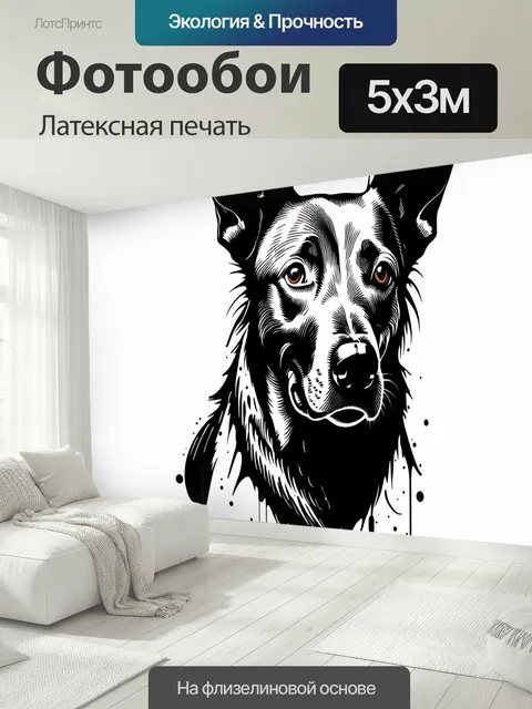 500 × 300 см · Латексная печать