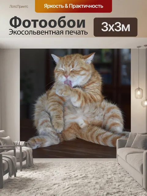 Фотообои Кот, рыжий, полосатый