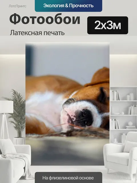 200 × 300 см · Латексная печать