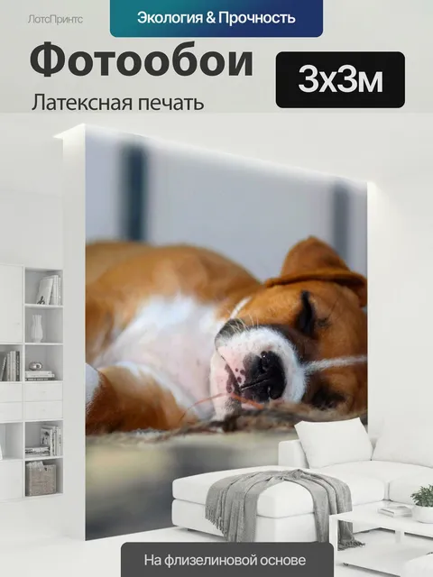 300 × 300 см · Латексная печать