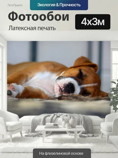 400 × 300 см · Латексная печать